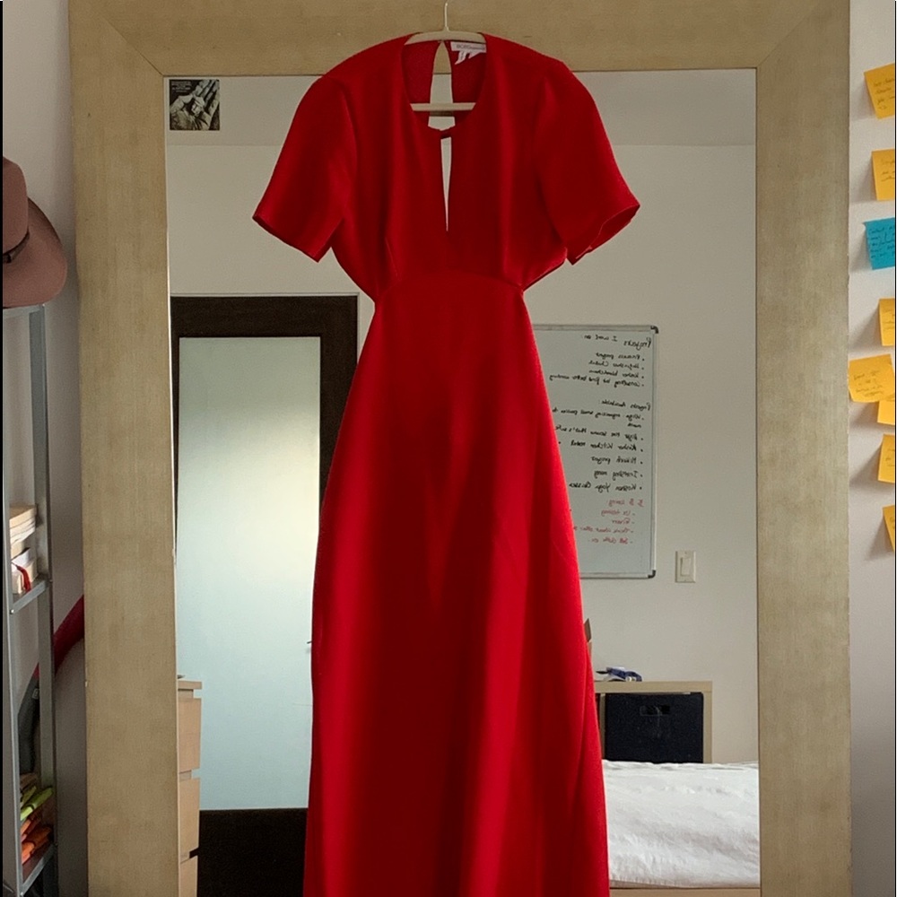 BCBG Maxi Dress open in the back